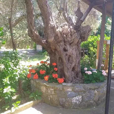 Zephyr Guest House Lefokastro Exterior foto
