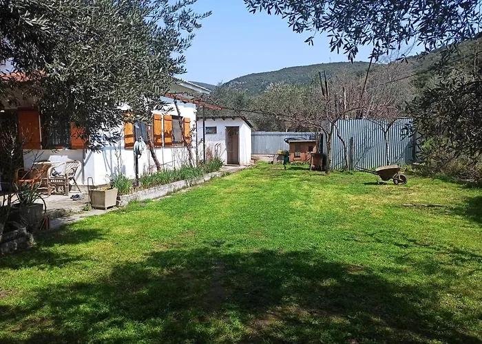 Zephyr Guest House