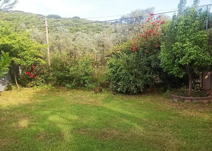 Zephyr Guest House