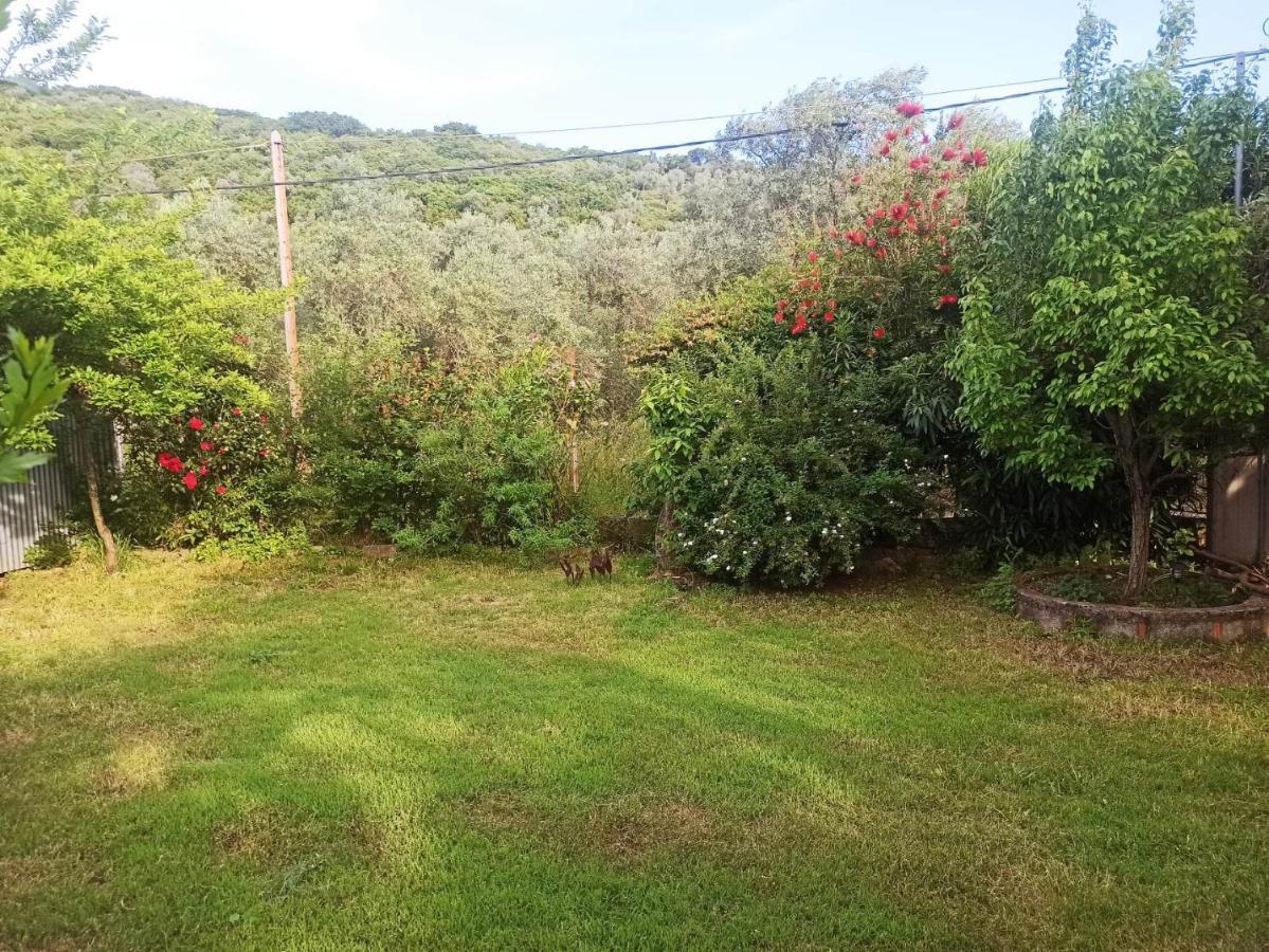 Zephyr Holiday home
